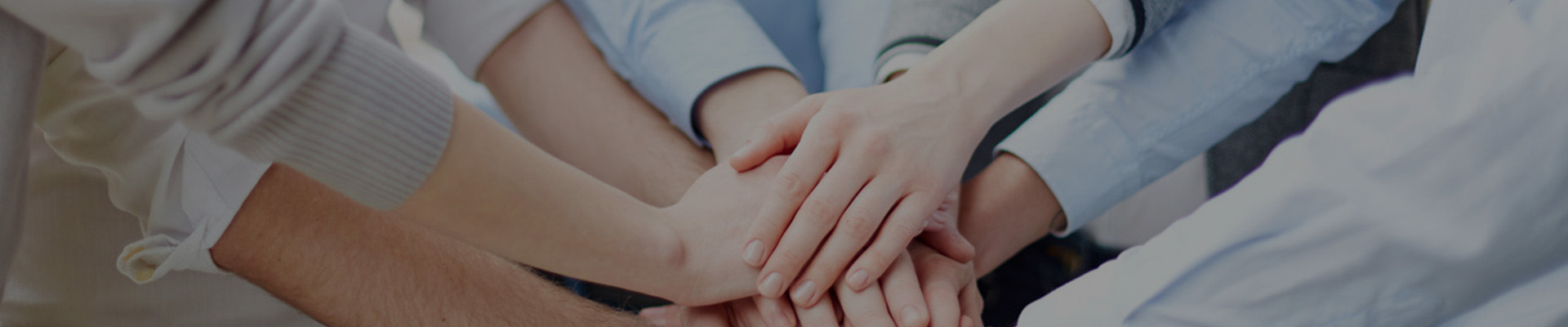 人才招聘-北京铂欣科技有限公司